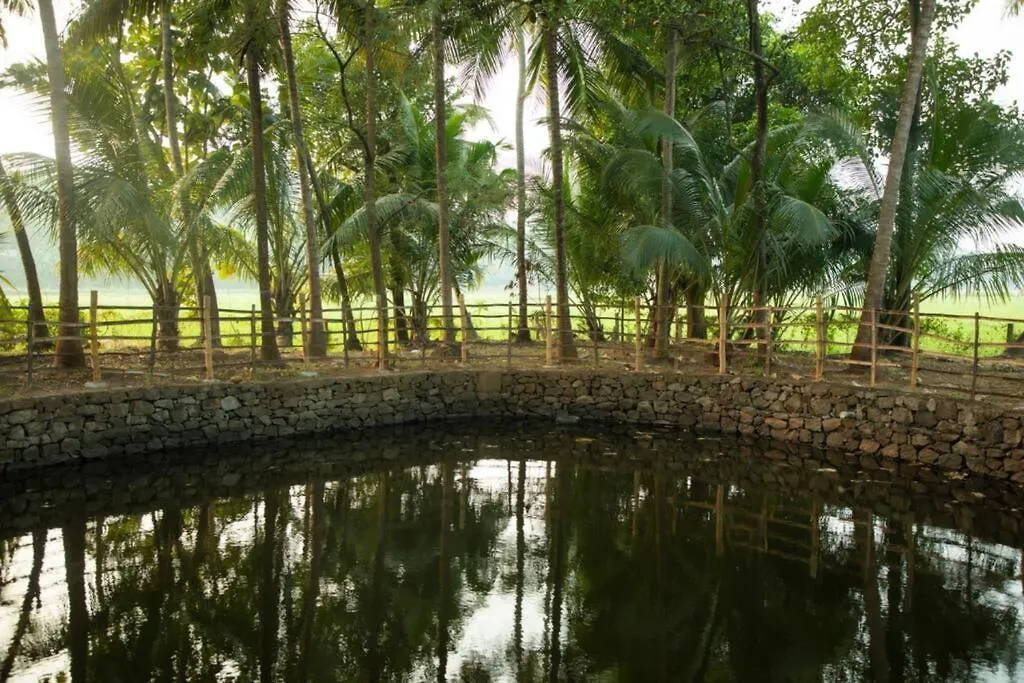 Heal Hive Homestay Palakkad India